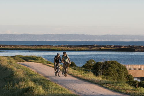 Cycling